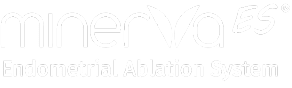 Minerva ES Endometrial Ablation System
