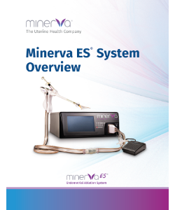 Minerva ES System Overview